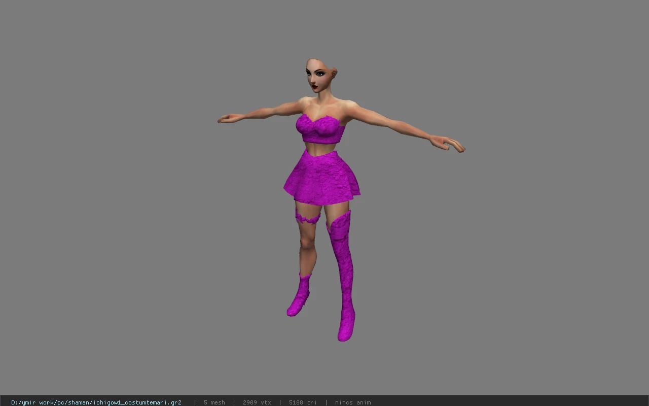 ichigow1_costumtemari