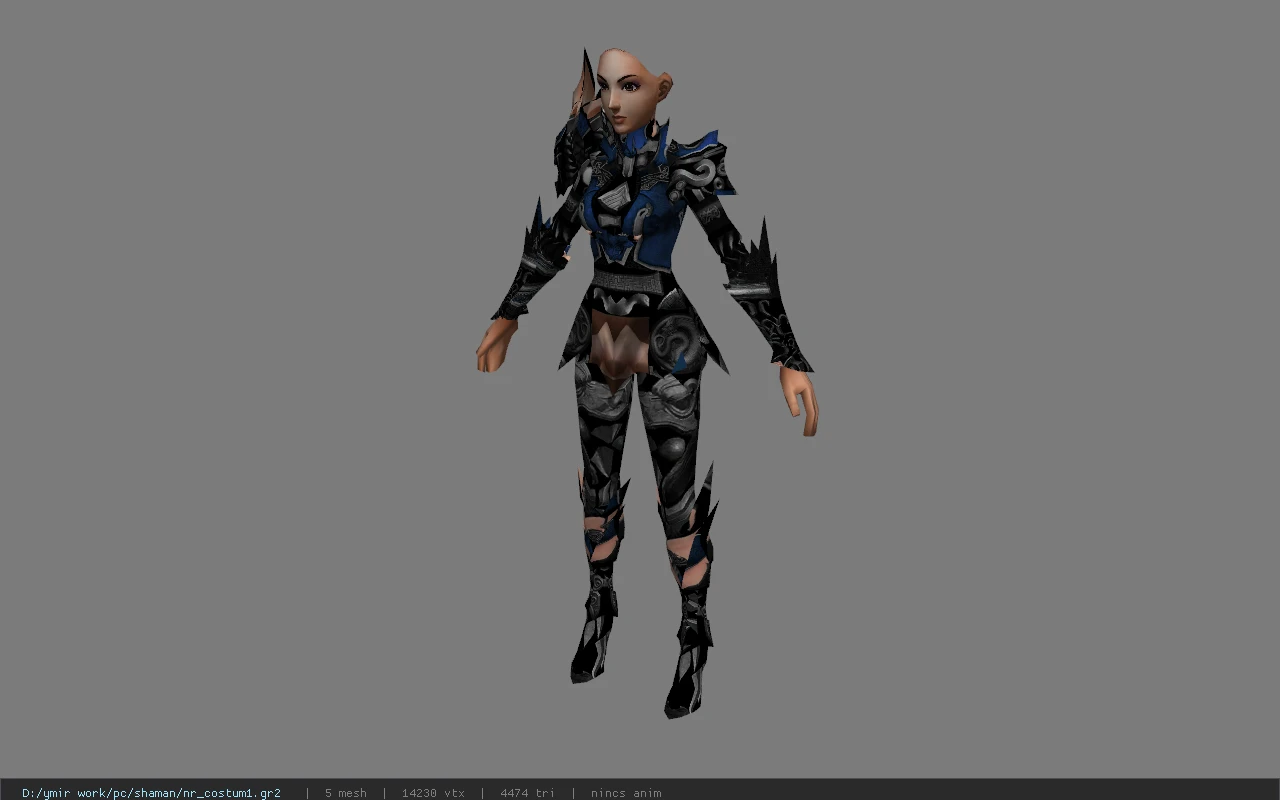 nr_costum1