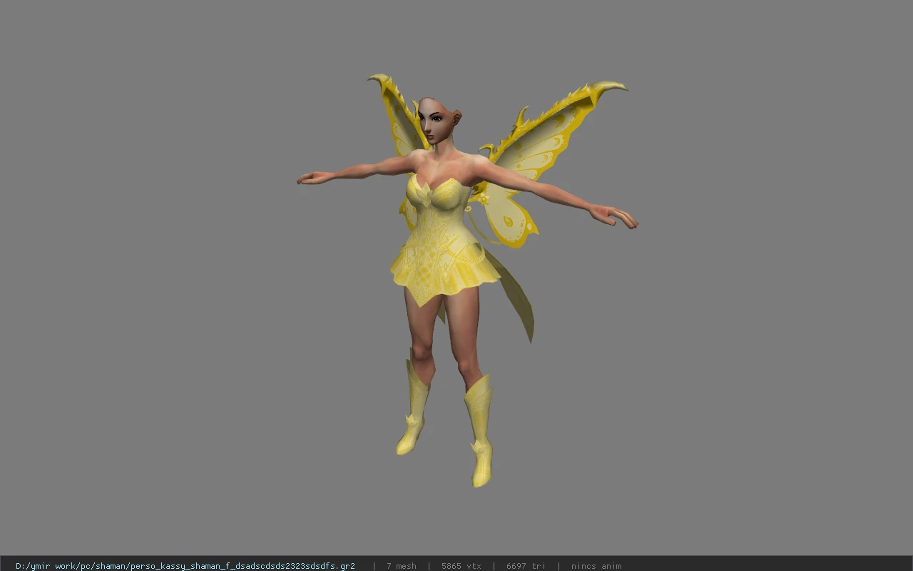 perso_kassy_shaman_f_dsadscdsds2323sdsdfs