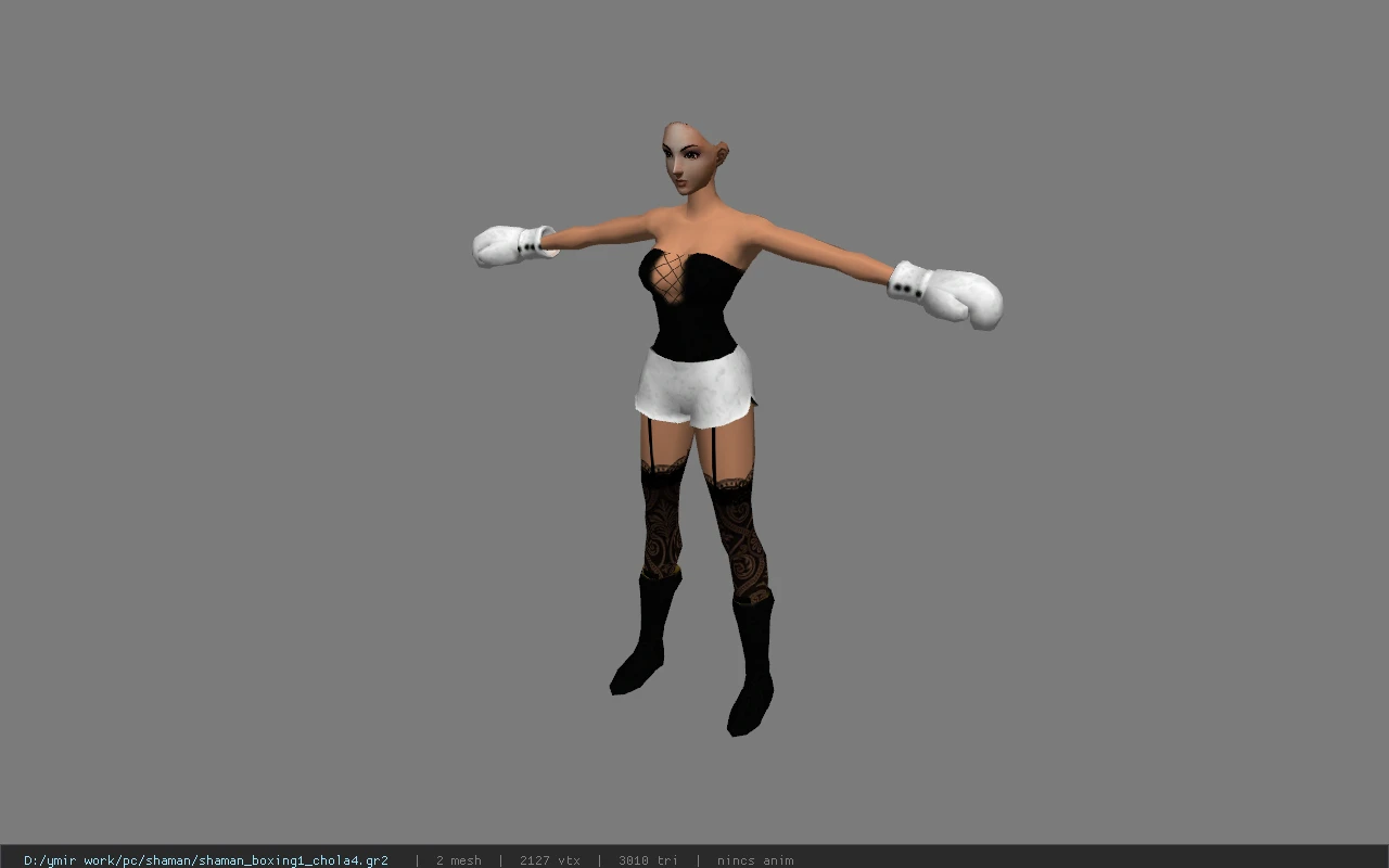 shaman_boxing1_chola4