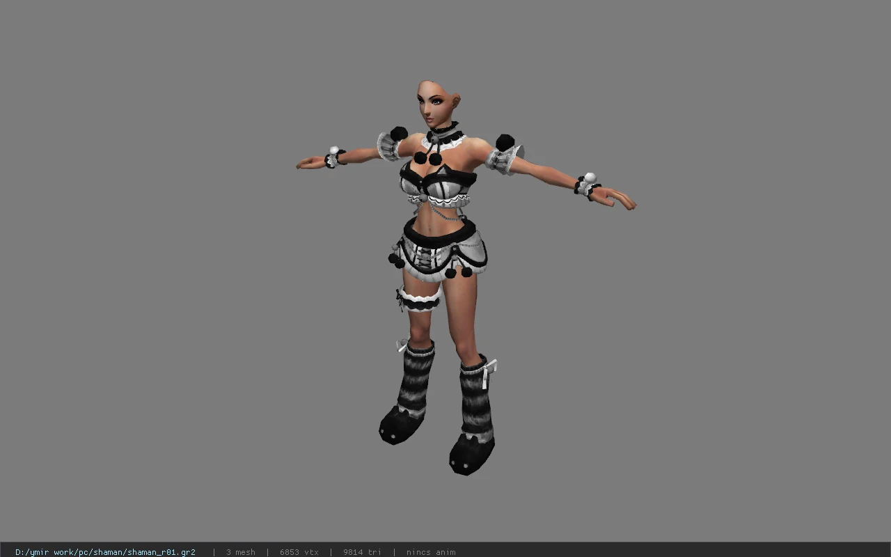 shaman_r01
