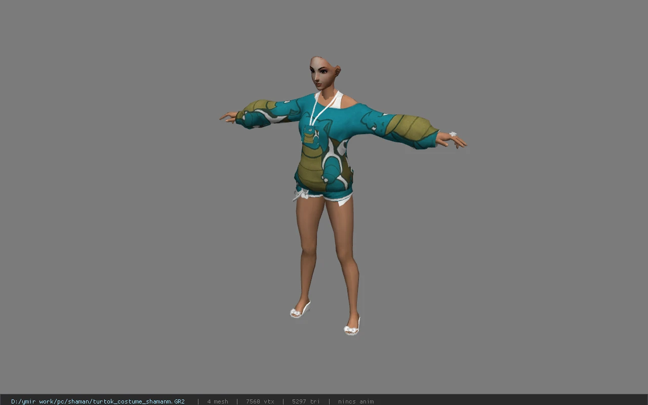 turtok_costume_shamanm