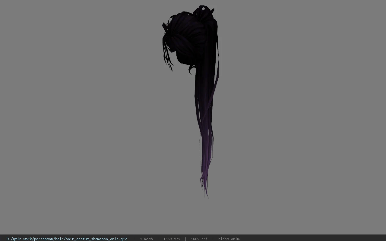 hair_costum_shamanca_aris