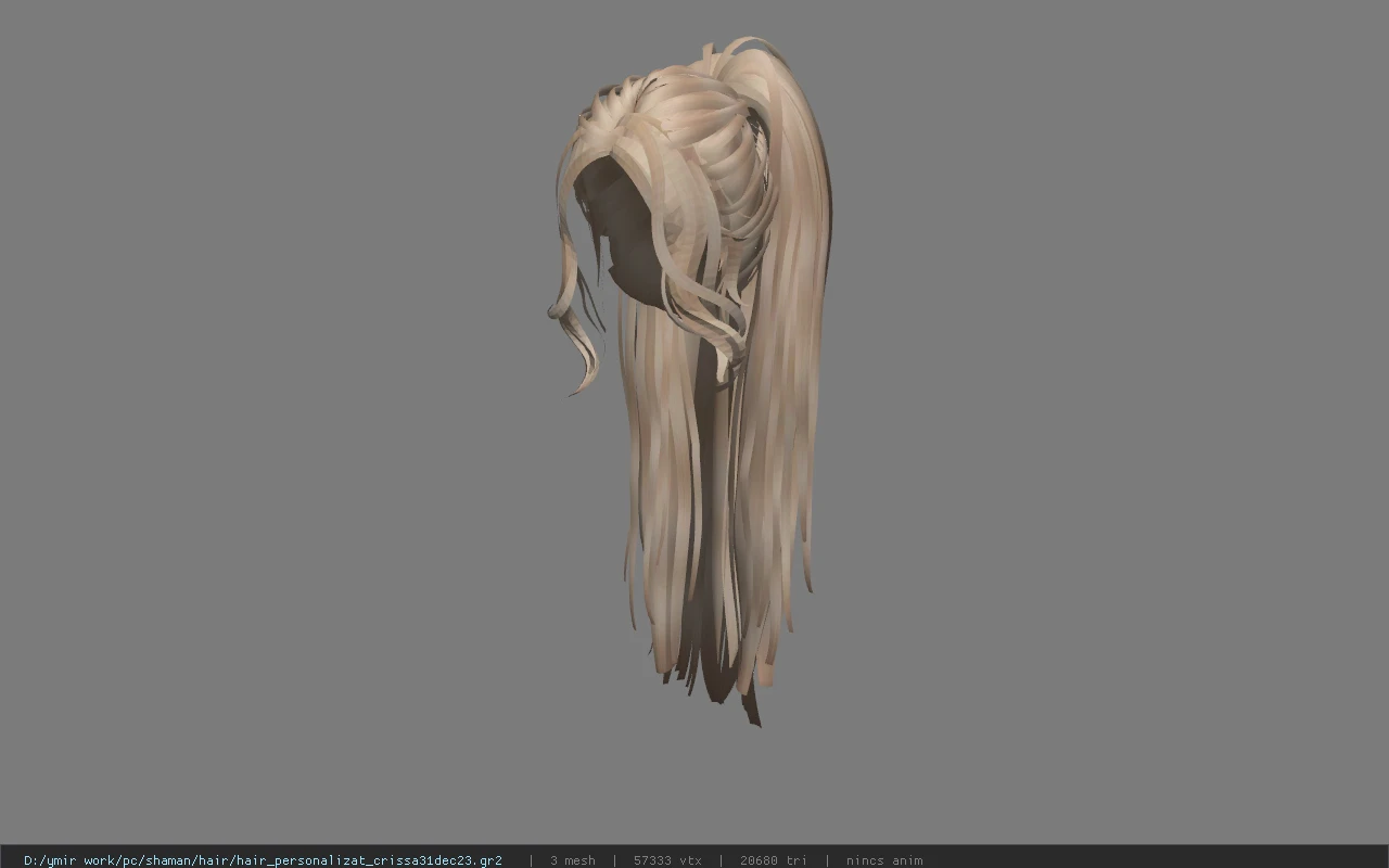 hair_personalizat_crissa31dec23