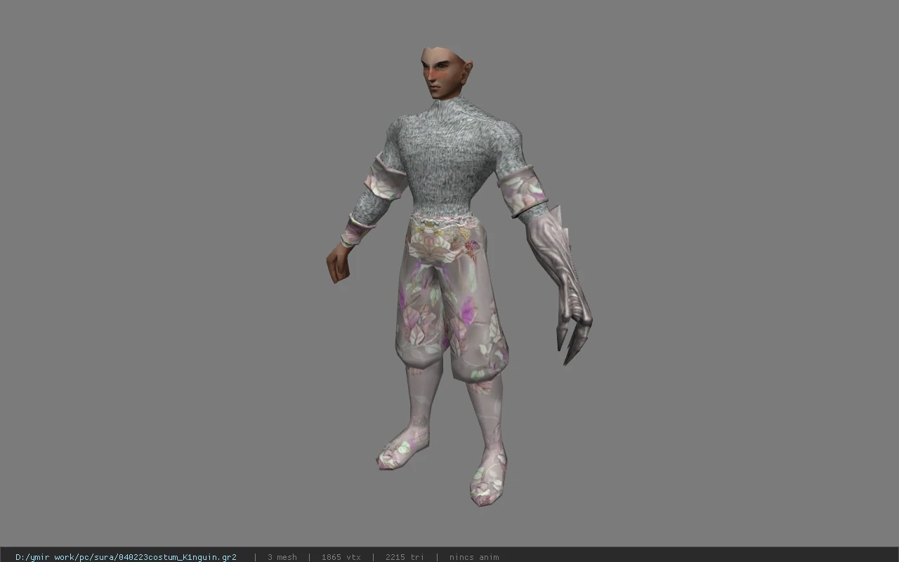 040223costum_K1nguin