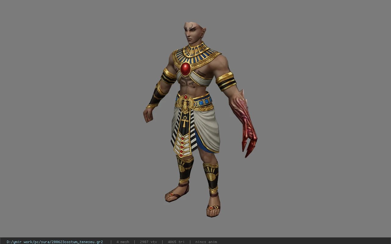 200623costum_teneseu