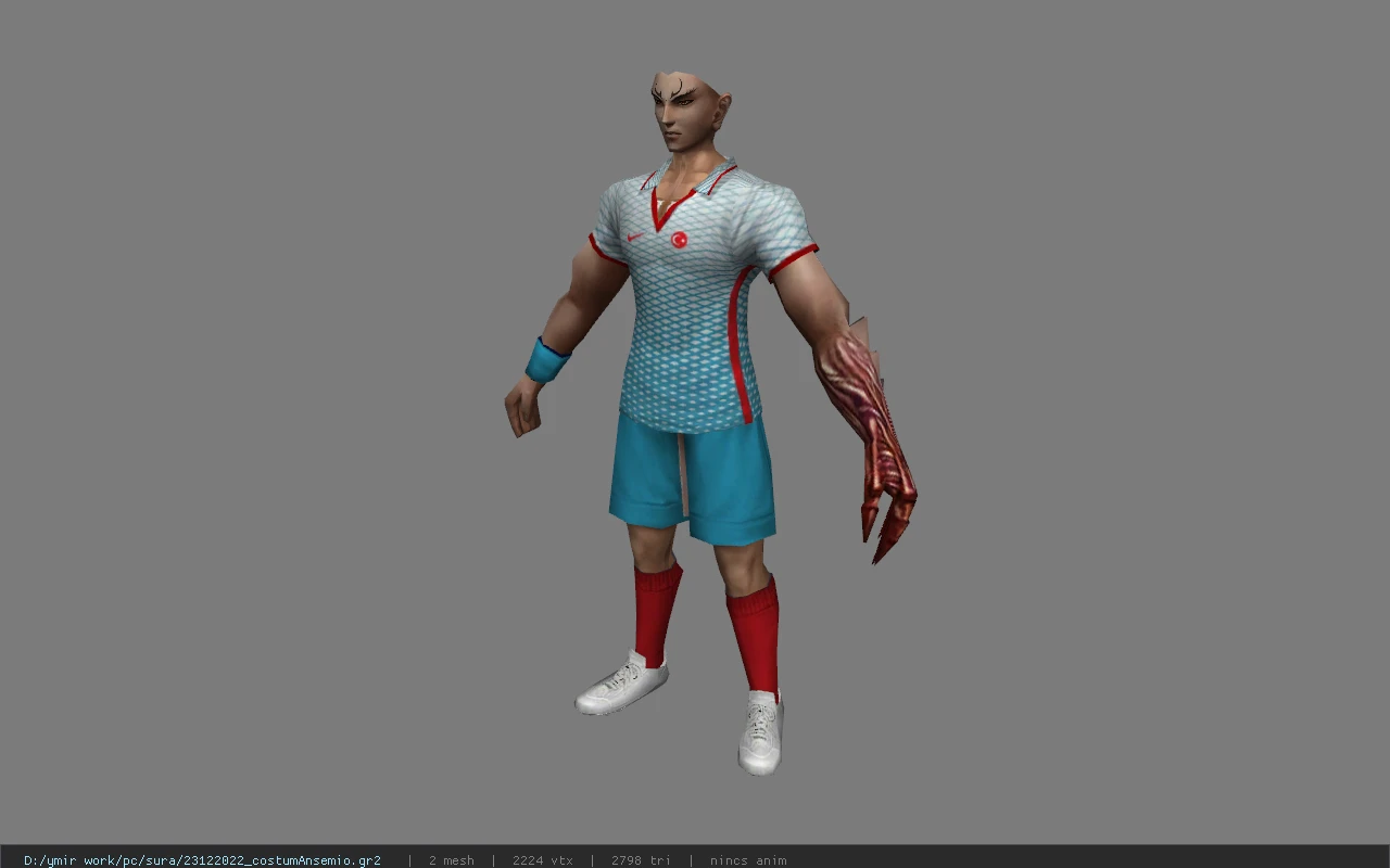 23122022_costumAnsemio