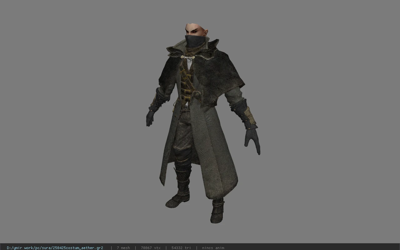 250425costum_aether