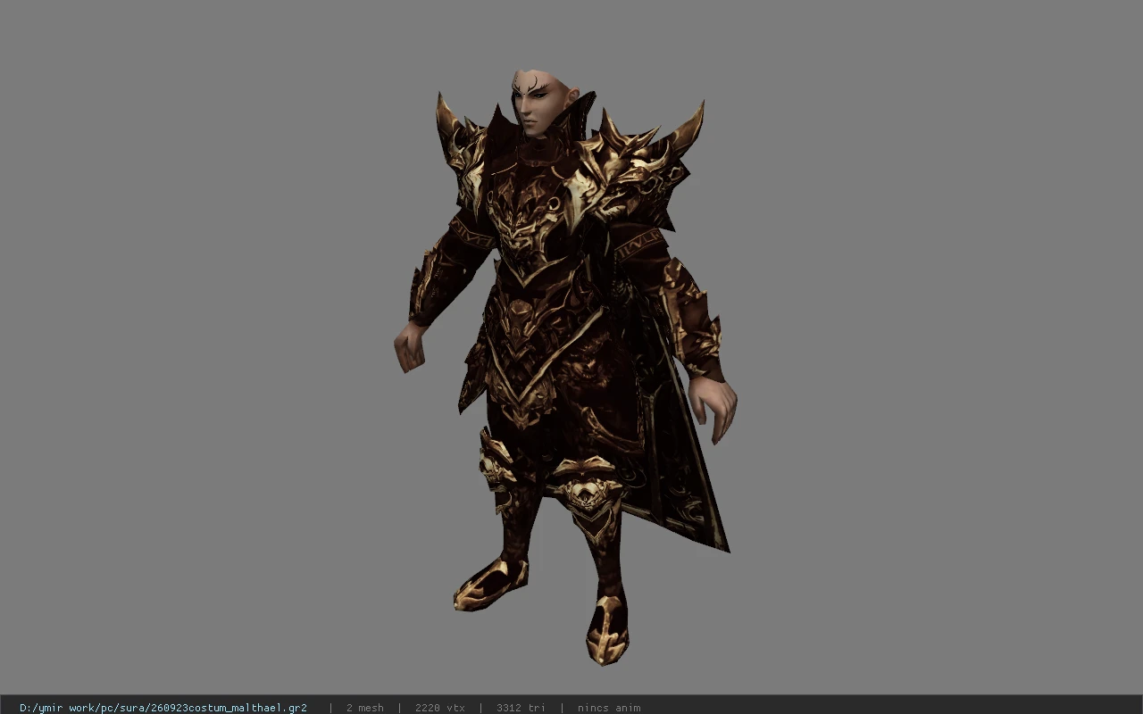 260923costum_malthael