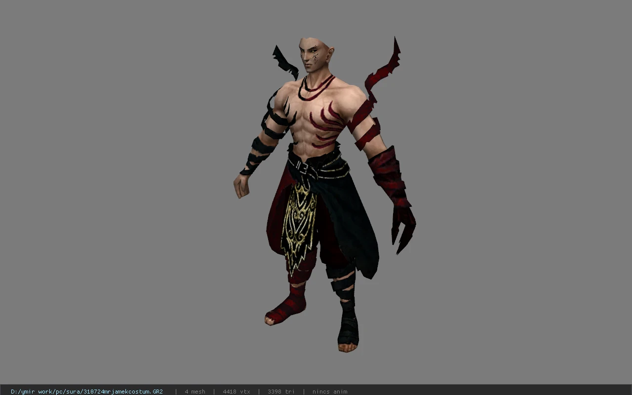 310724mrjamekcostum