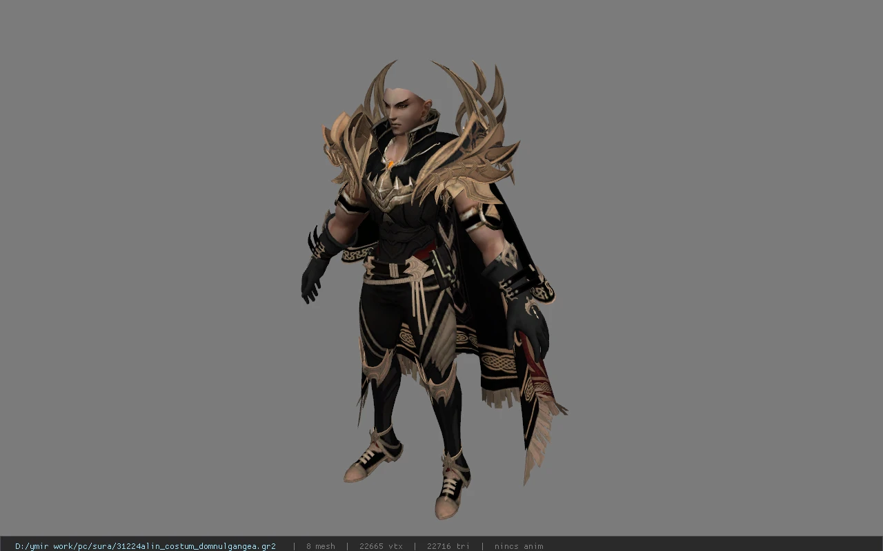 31224alin_costum_domnulgangea