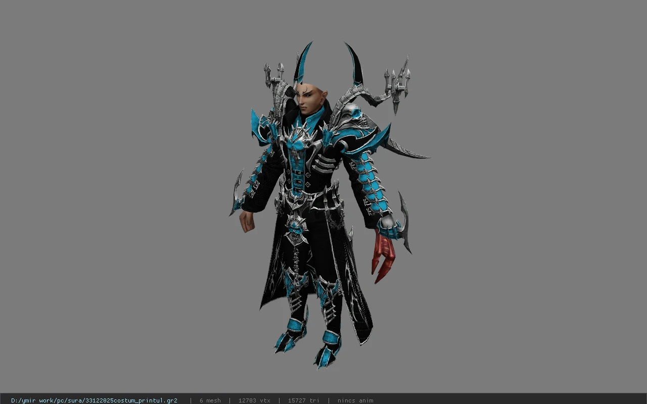 33122025costum_printul