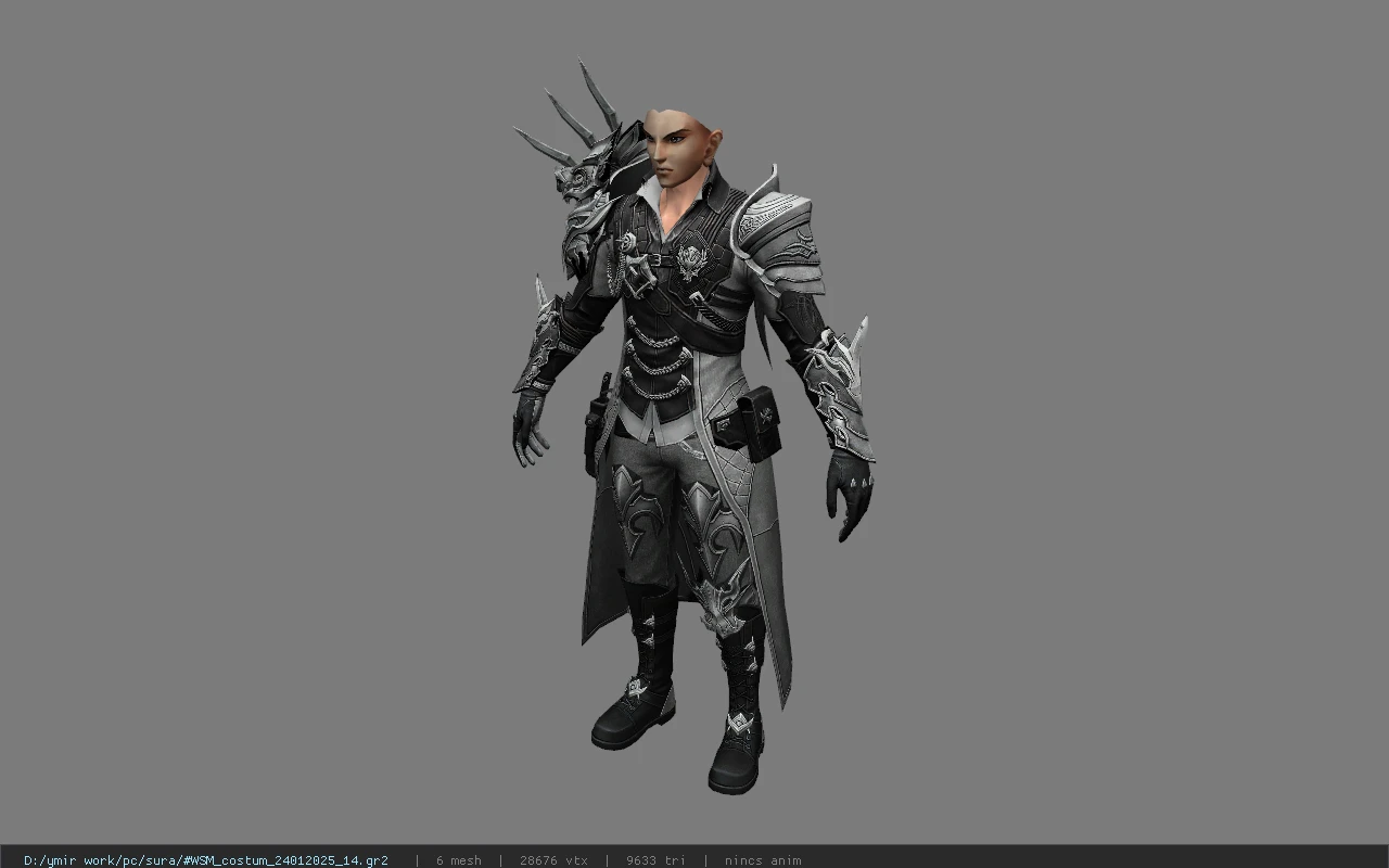 WSM_costum_24012025_14