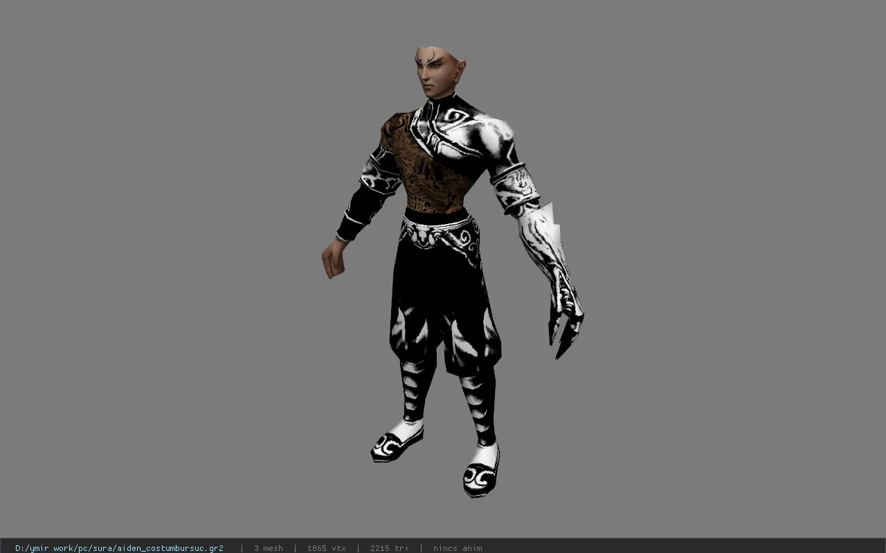 aiden_costumbursuc