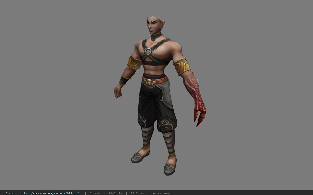 costum_amadeus2019
