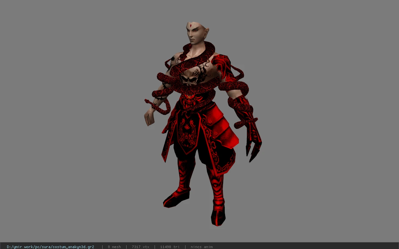 costum_anakyn3d