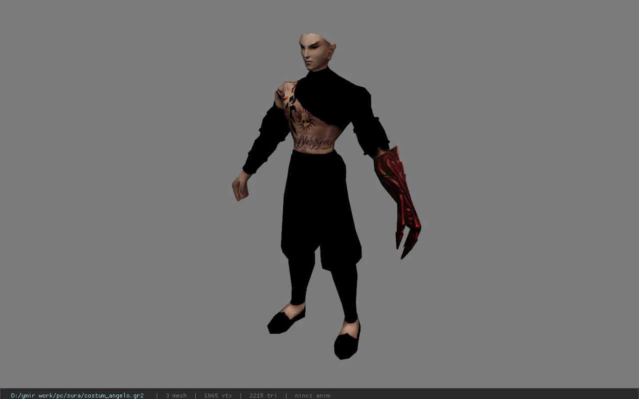 costum_angelo