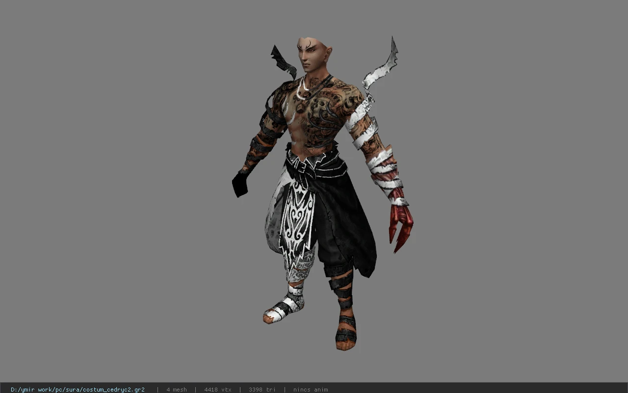 costum_cedryc2