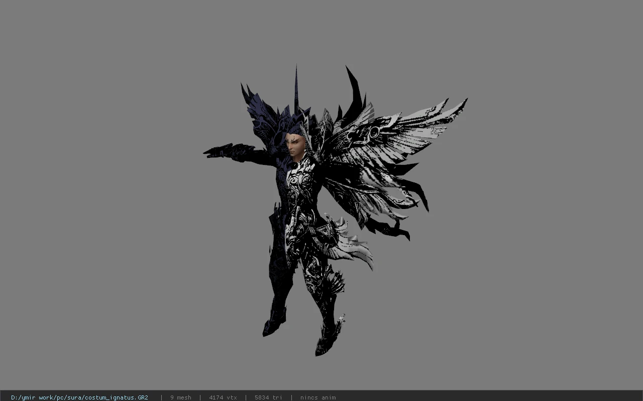 costum_ignatus