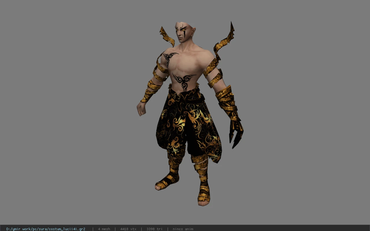 costum_lucii4i