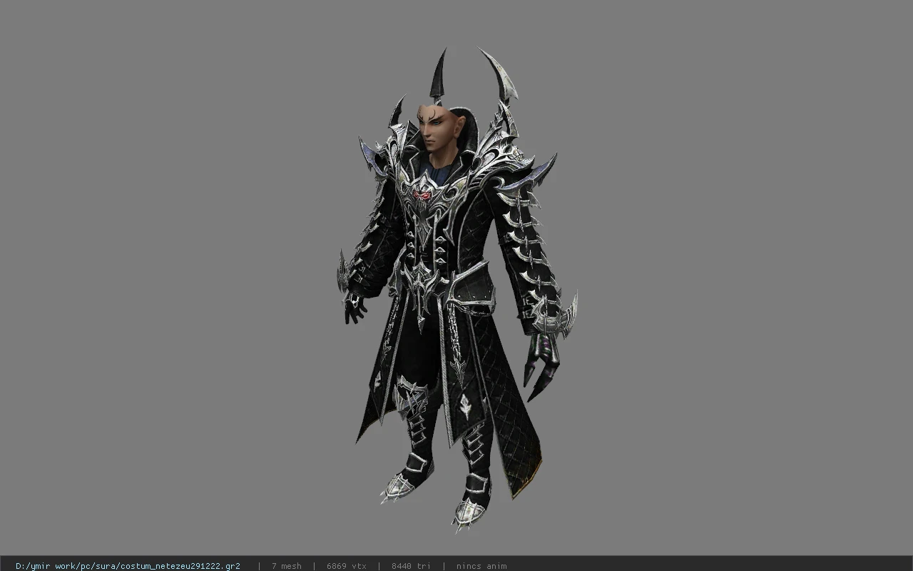 costum_netezeu291222
