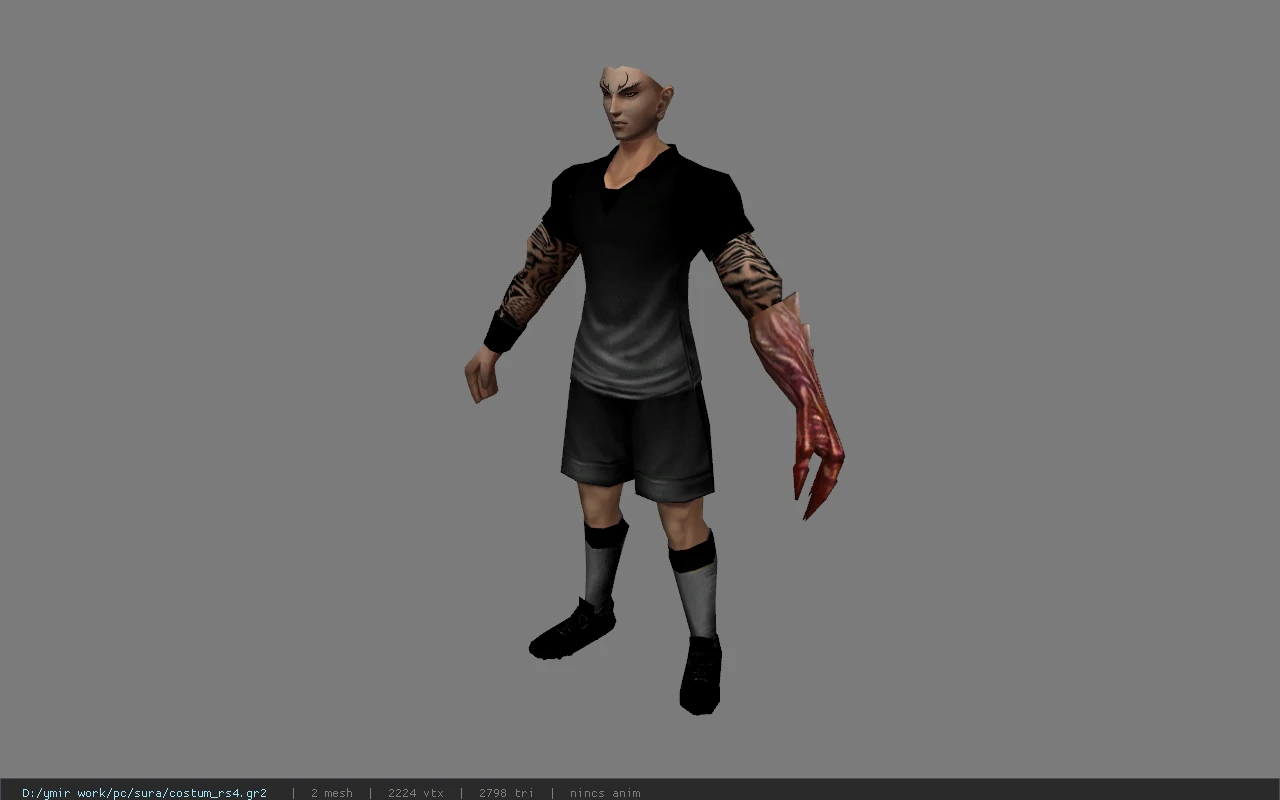 costum_rs4