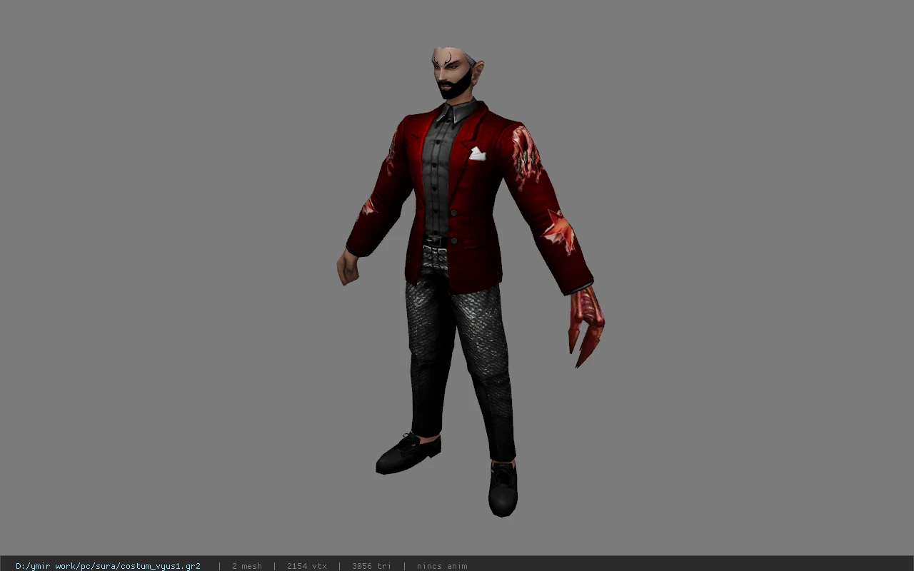 costum_vyus1