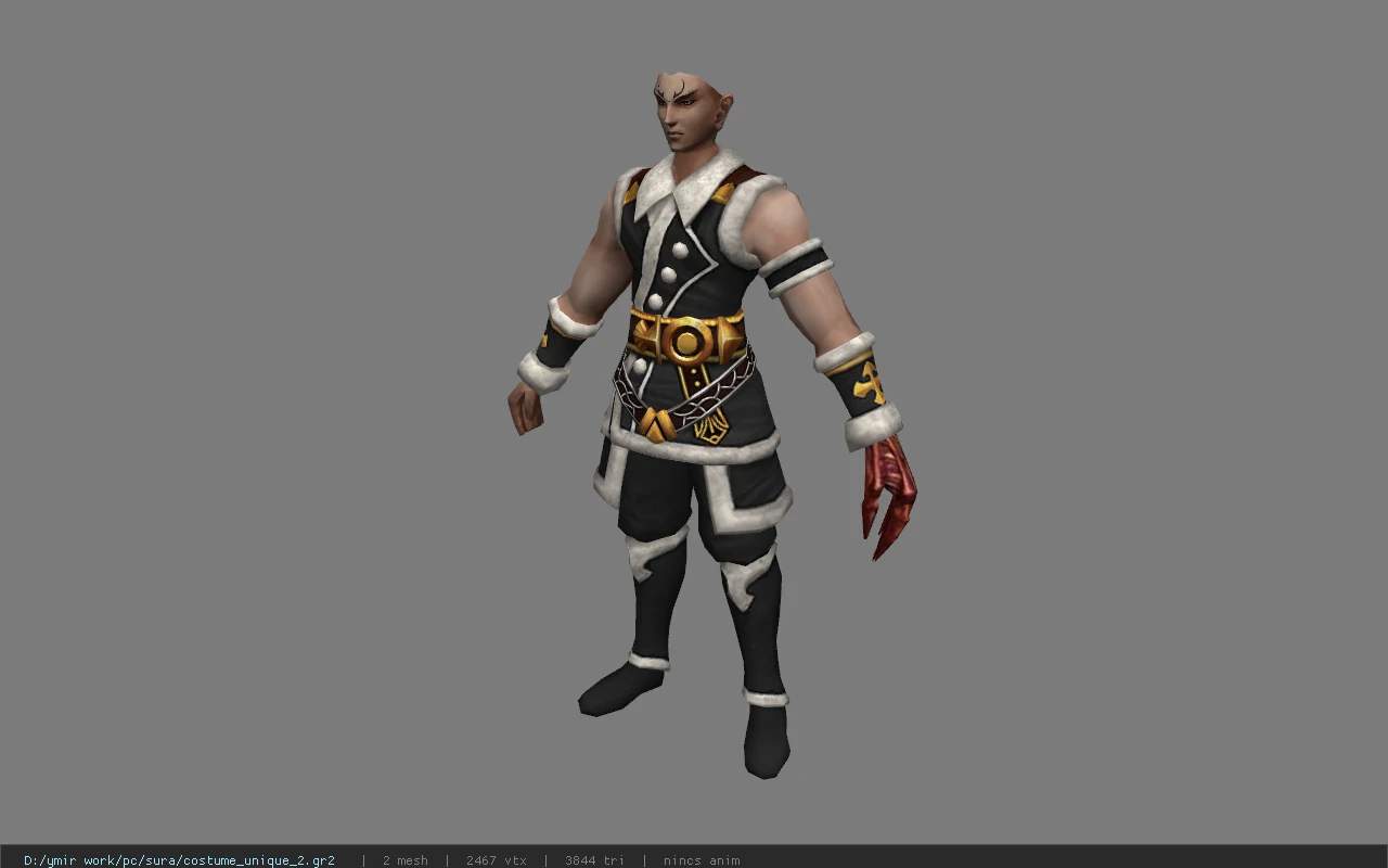 costume_unique_2