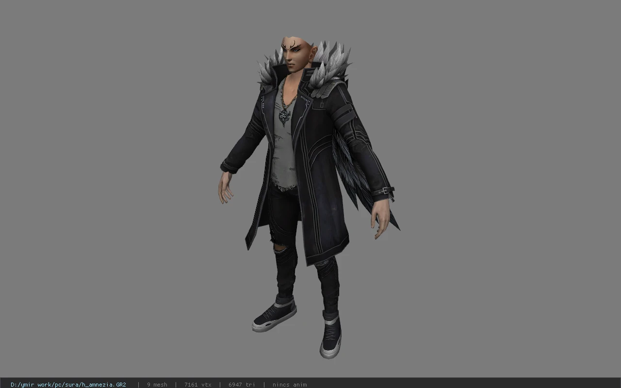 h_amnezia