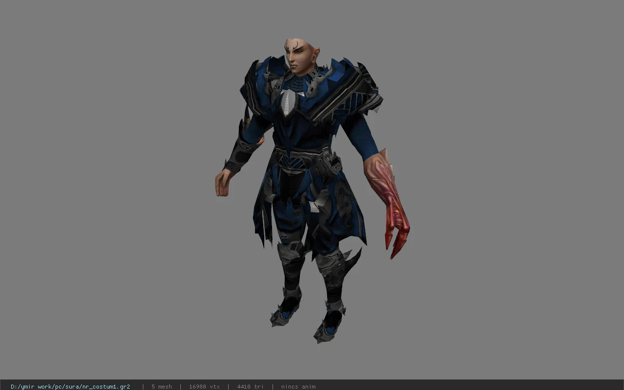nr_costum1