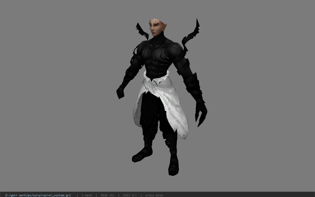 raziel_costum