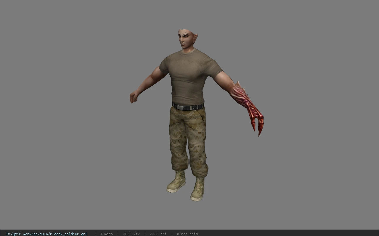 ridack_soldier
