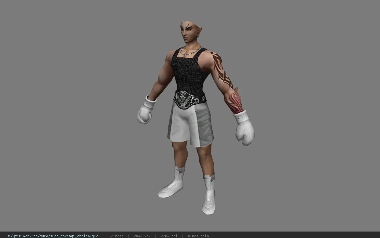 sura_boxing1_chola4