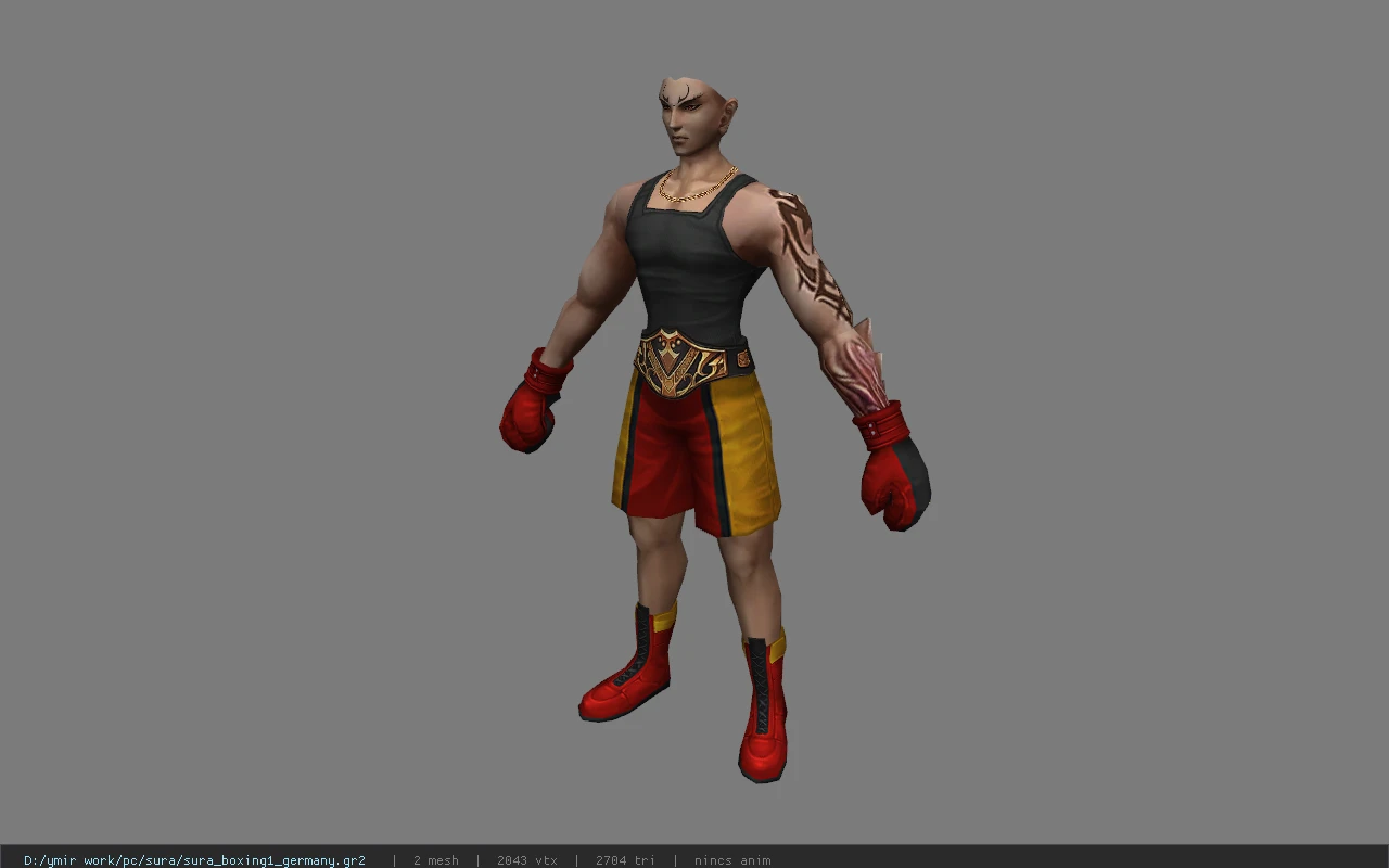 sura_boxing1_germany