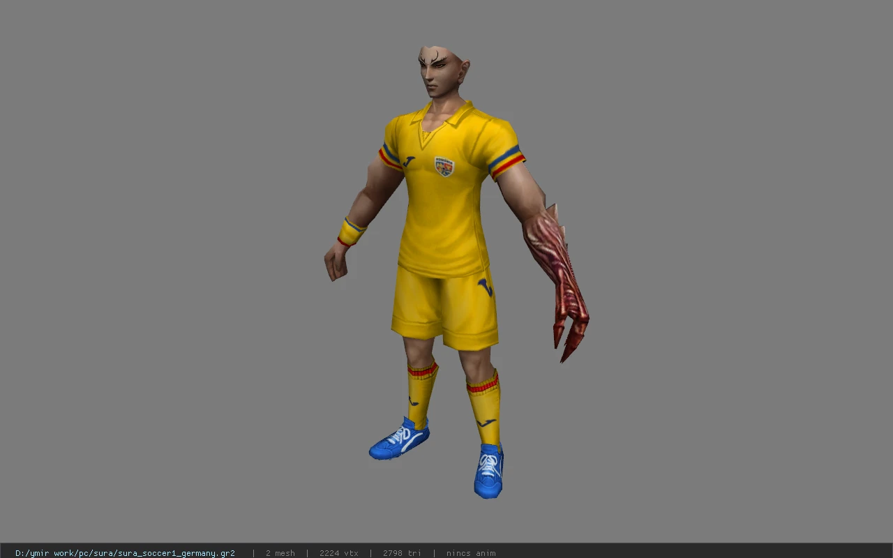sura_soccer1_germany
