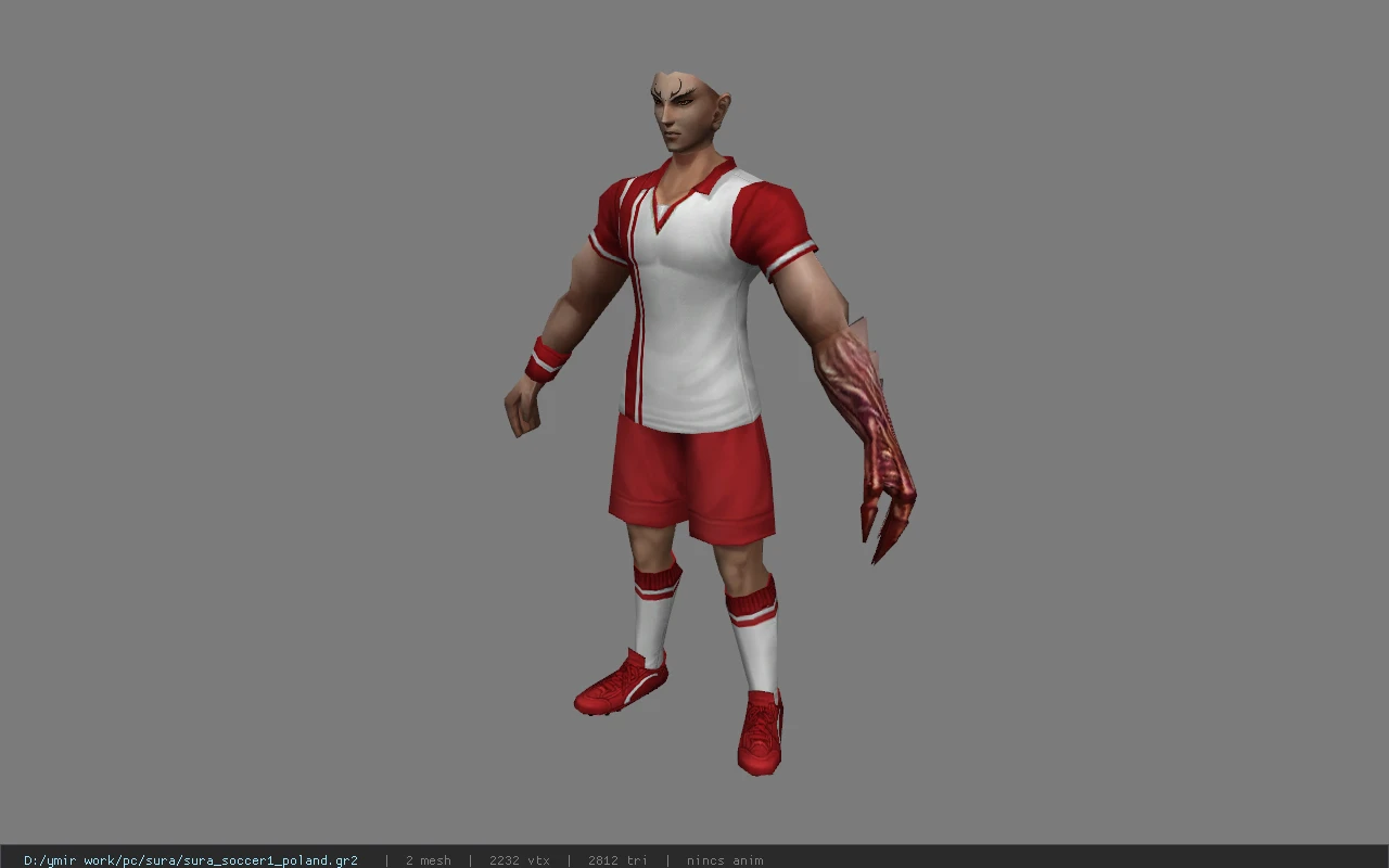 sura_soccer1_poland