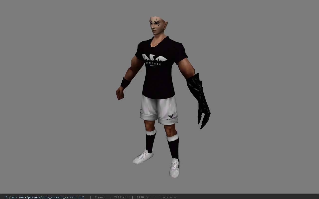 sura_soccer1_silviu1