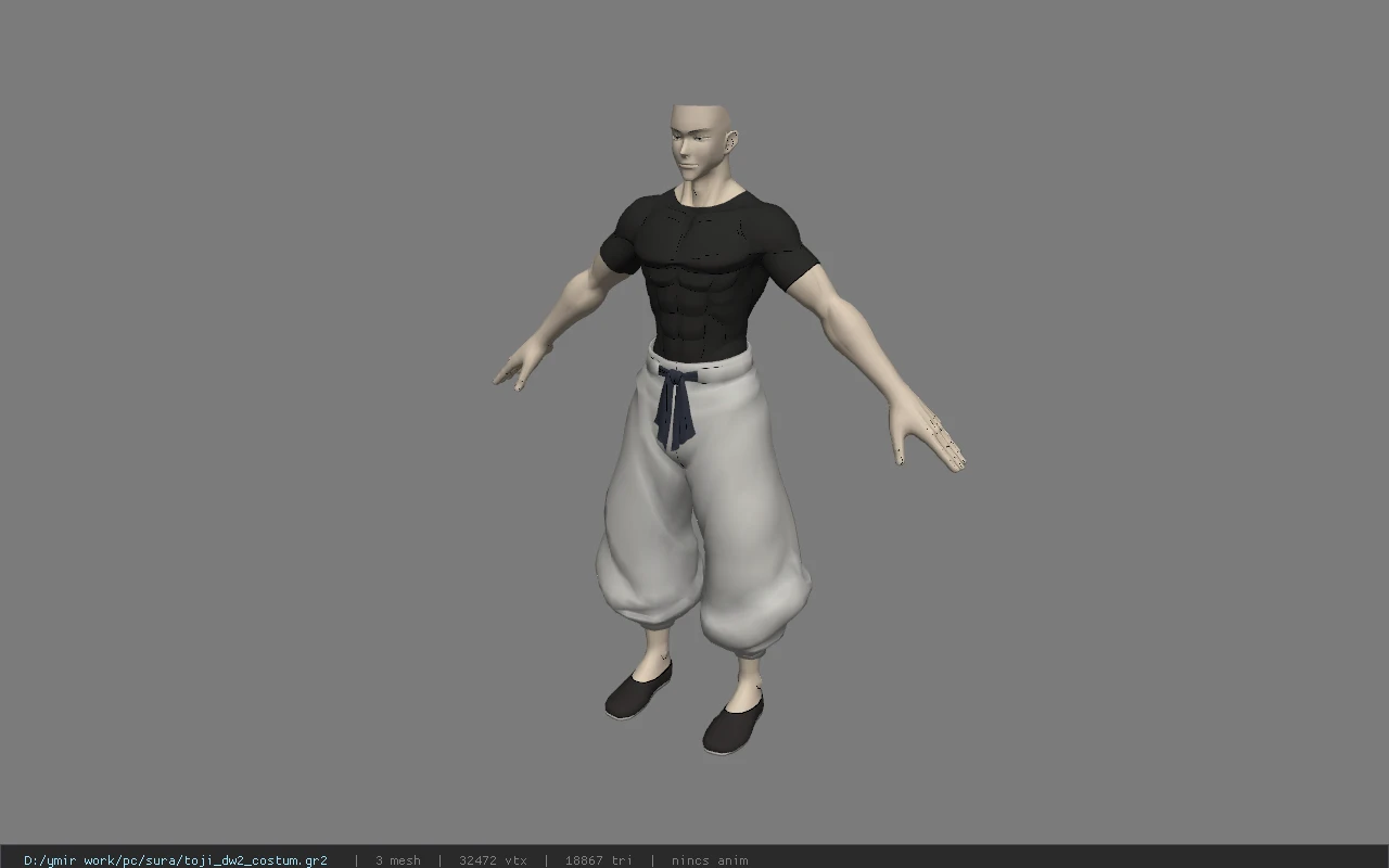 toji_dw2_costum