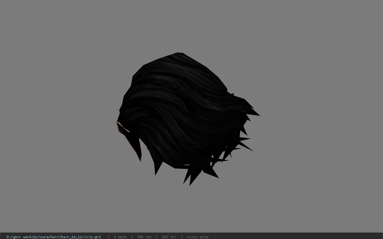 hair_16_1silviu