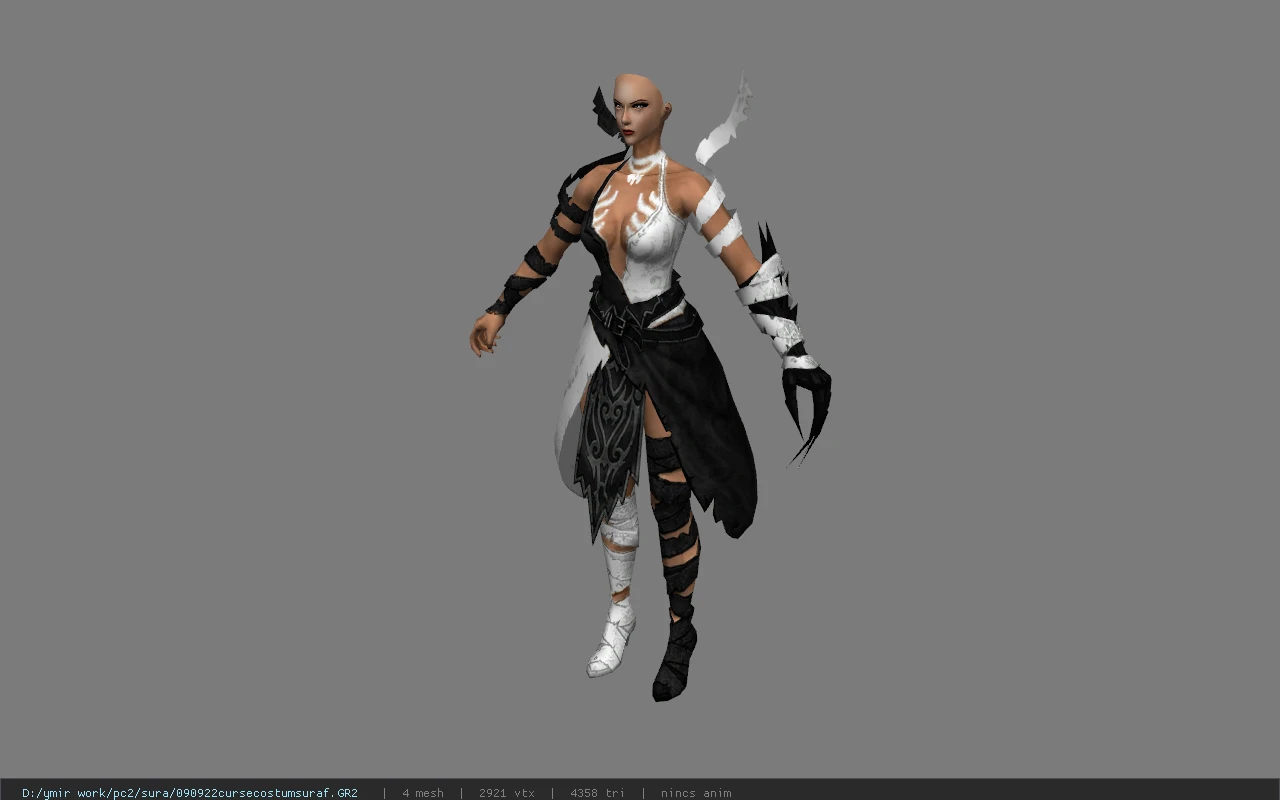 090922cursecostumsuraf