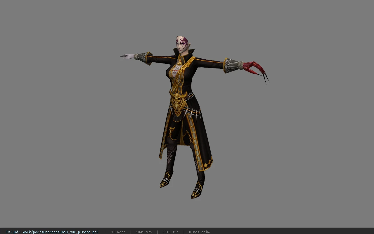 costume3_sur_pirate