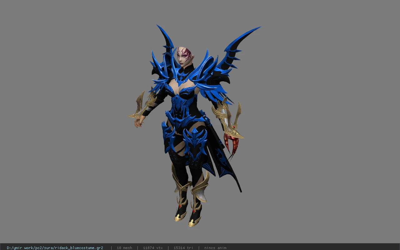 ridack_bluecostume