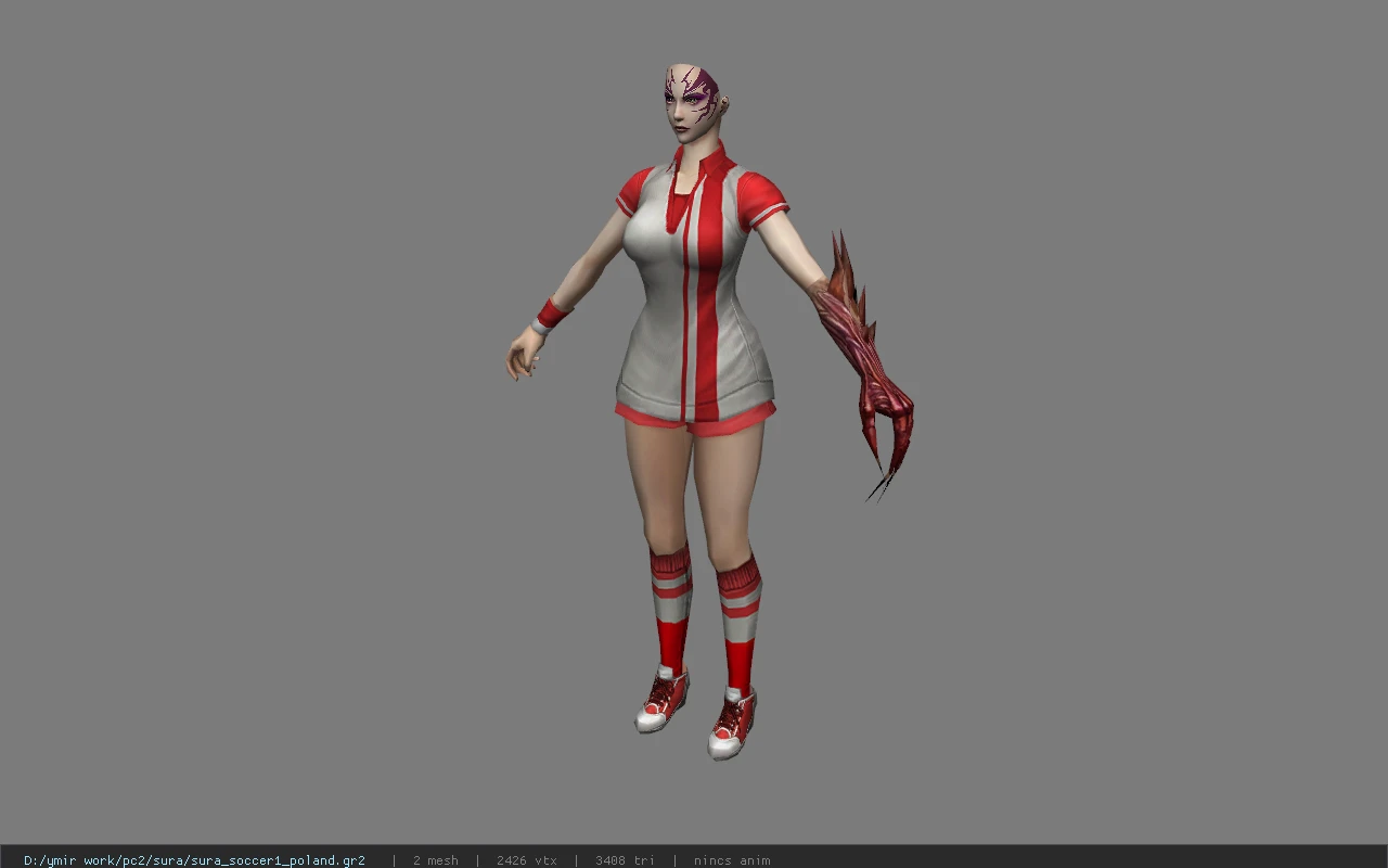 sura_soccer1_poland